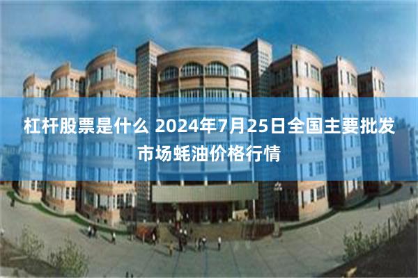 杠杆股票是什么 2024年7月25日全国主要批发市场蚝油价格行情