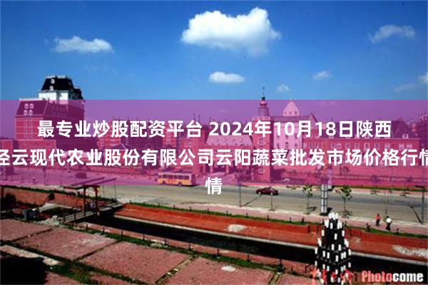 最专业炒股配资平台 2024年10月18日陕西泾云现代农业股份有限公司云阳蔬菜批发市场价格行情