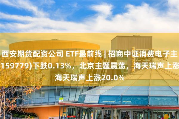 西安期货配资公司 ETF最前线 | 招商中证消费电子主题ETF(159779)下跌0.13%，北京主题震荡，海天瑞声上涨20.0%