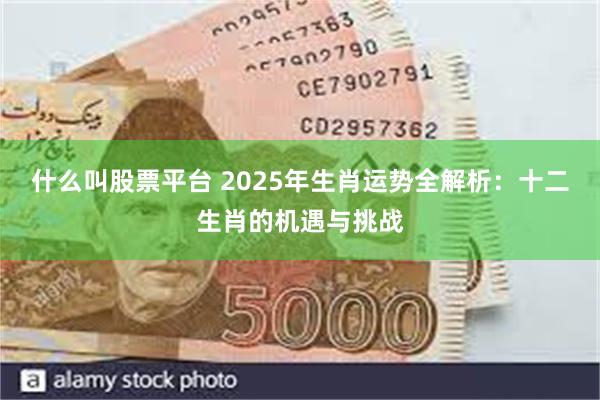 什么叫股票平台 2025年生肖运势全解析：十二生肖的机遇与挑战