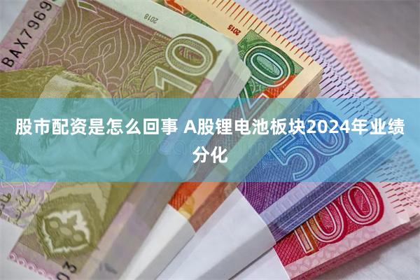 股市配资是怎么回事 A股锂电池板块2024年业绩分化